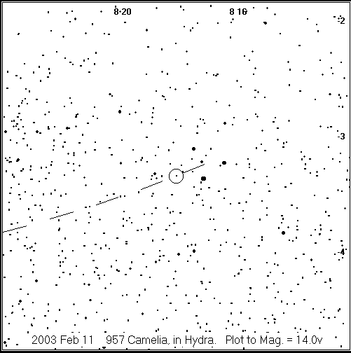 Camelia Detailed Finder